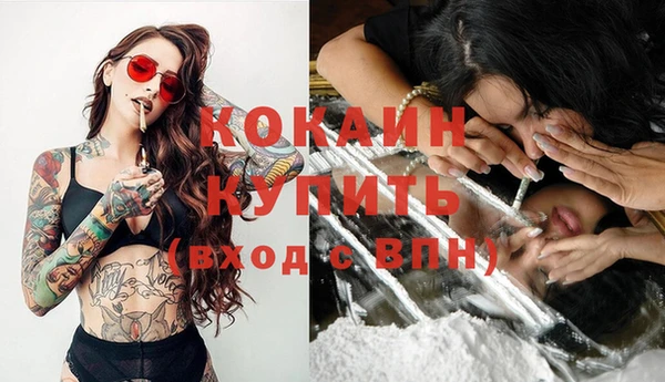 мяу мяу мука Каменка