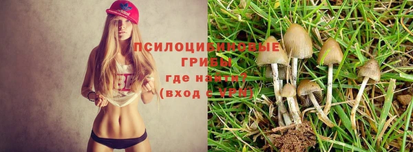 мяу мяу мука Каменка