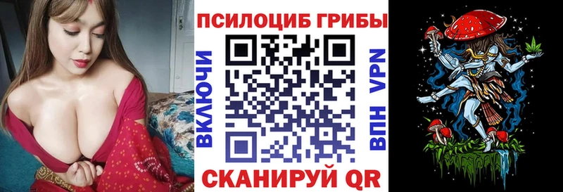Псилоцибиновые грибы Psilocybe  Купить закладки  Волоколамск 